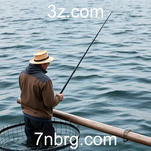 Security and Trust 7nb.com - International Licenses and Certifications